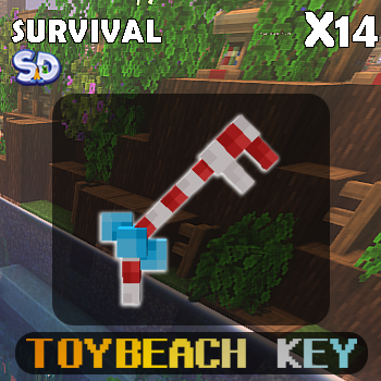 กุญแจ ToyBeach Key x14