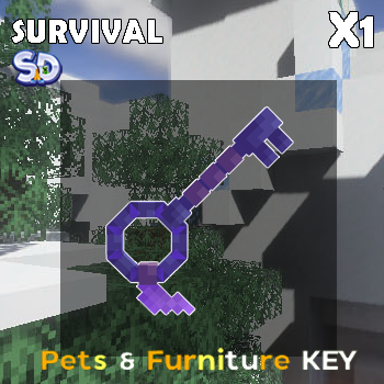 กุญแจ Pets & Furnitrue x1