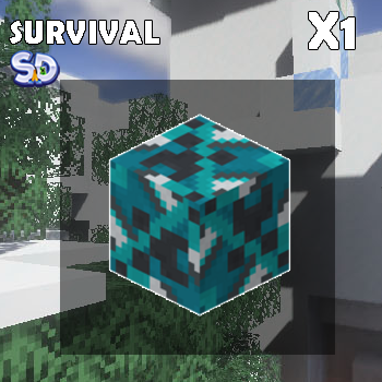 โพรเทคชั่น 50X50